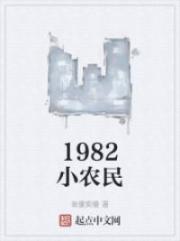 1982小农民