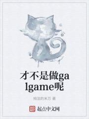 才不是做galgame呢